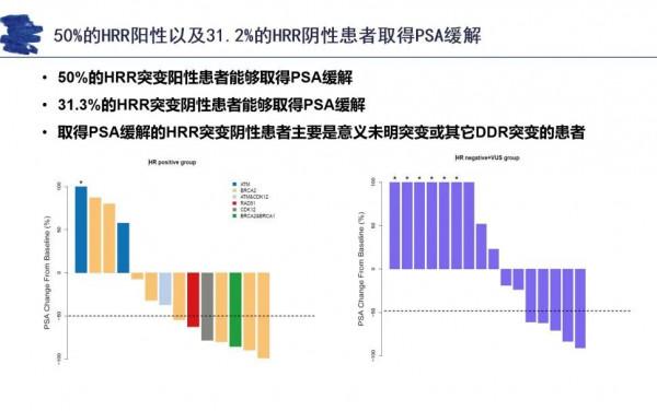 中國真實世界奧拉帕利研究資料出爐，臨床療效再添實證