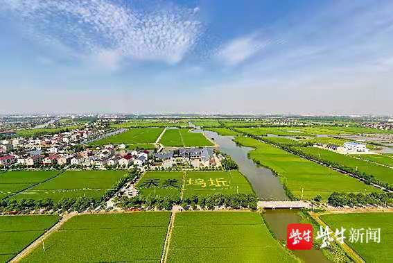 蘇州方案&OpenCurlyDoubleQuote;出爐&rdquo;！中國農科院聯合蘇州釋出2&period;0版農業農村現代化評價考核指標體系