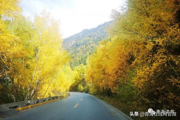 「青海線上網·散文」這一路風光,你心動了嗎? 「青海線上網·散文」這一路風光,你心動了嗎?