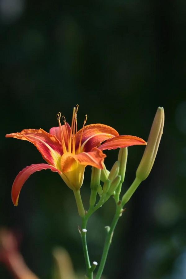 做個普通人，就好