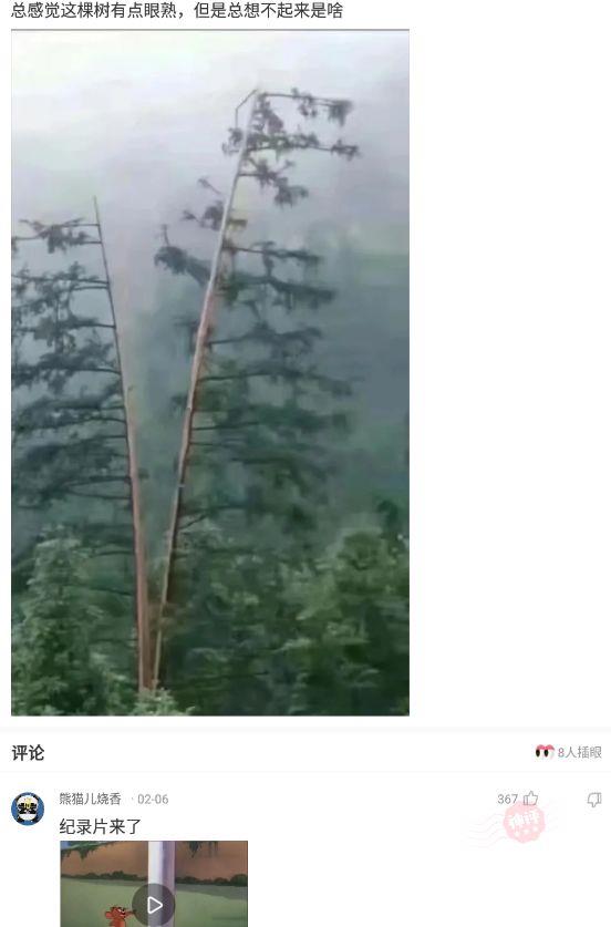 小貓咪現在不但網戀,它還舔屏!請問我該怎麼讓它打消這個念頭? 小貓咪現在不但網戀,它還舔屏!請問我該怎麼讓它打消這個念頭?