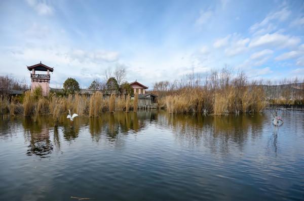 麗江小眾旅遊景點,雲南首個以“溼地”命名的保護區,景美人少 麗江小眾旅遊景點,雲南首個以“溼地”命名的保護區,景美人少