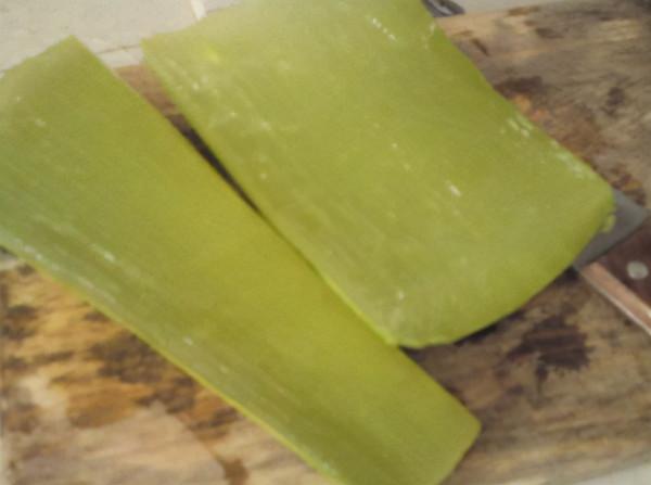 文竹養幾年都沒多大變化?那麼灌一點“液體液”,能養成大型盆栽 文竹養幾年都沒多大變化?那麼灌一點“液體液”,能養成大型盆栽