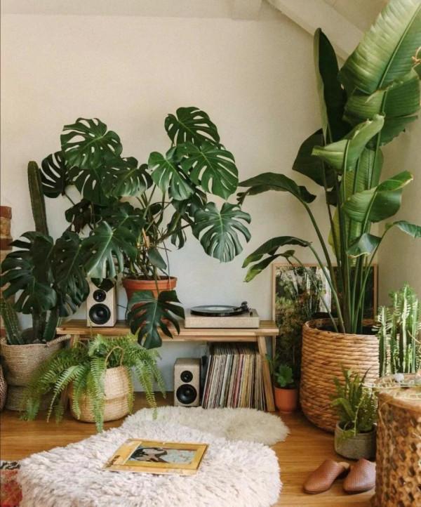 願您每天和綠意相伴