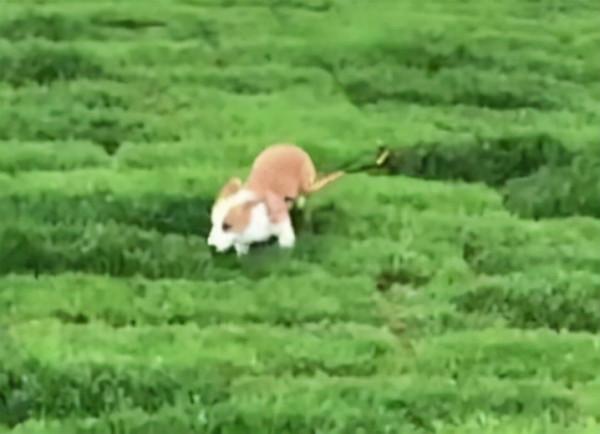 “蛋黃”的陽光生活 “蛋黃”的陽光生活