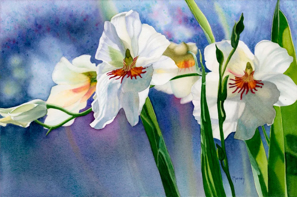 55歲拿起畫筆,成為最懂花的女人!筆下絢爛唯美的水彩花卉太美了 55歲拿起畫筆,成為最懂花的女人!筆下絢爛唯美的水彩花卉太美了