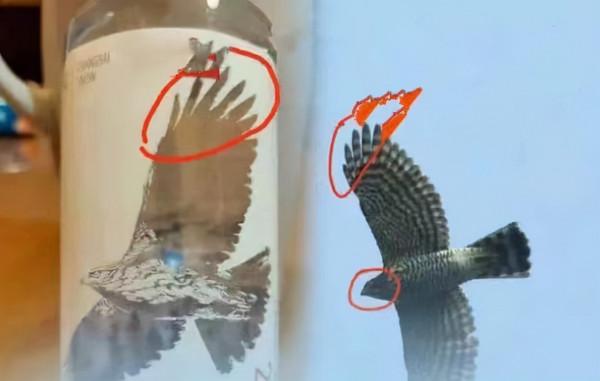 7歲娃發現教材錯誤，眼界開闊會思考的娃背後，是父母的奮力託舉