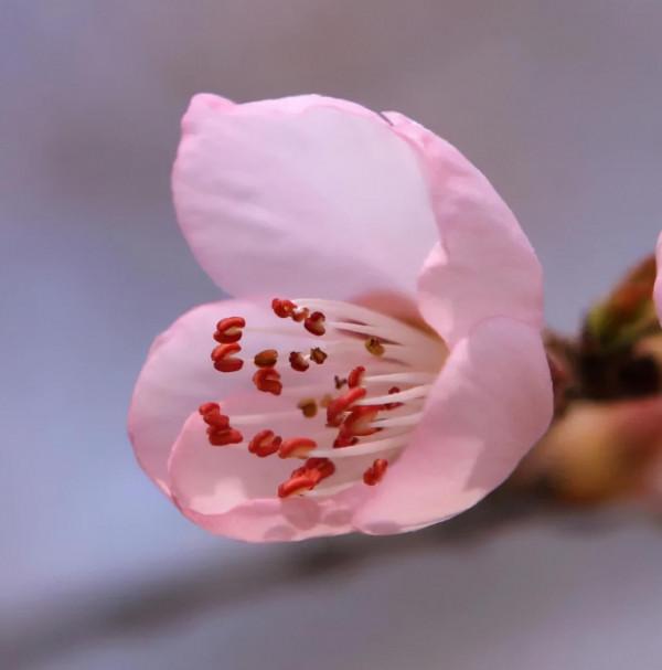 善待慢慢老去的自己 善待慢慢老去的自己