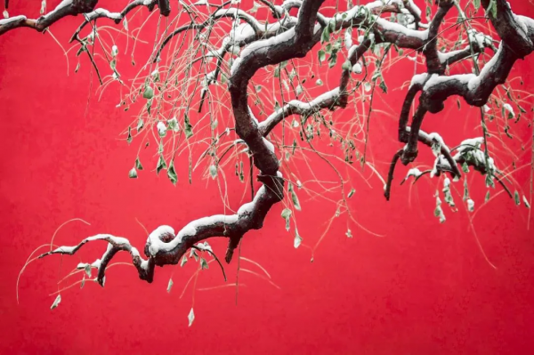 國內6條超驚豔的自駕路線，橫跨東西南北，一路風景賞心悅目