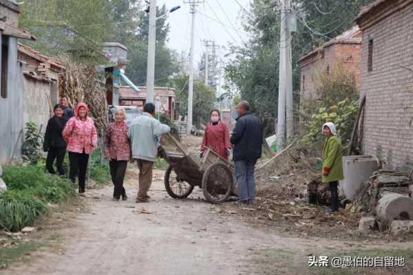 這才是真實的十月鄉村，純樸而美好，看後彷彿回了一次老家