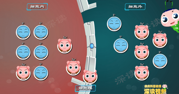 胳膊腿為啥沒力?躺著不動也心亂跳?動漫揭秘高鉀血癥致死全過程 胳膊腿為啥沒力?躺著不動也心亂跳?動漫揭秘高鉀血癥致死全過程