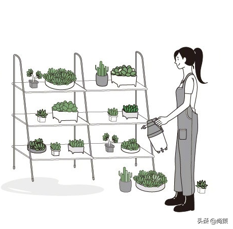 尚策資訊:離了個大譜,有人竟然在淘寶天貓吃貓糧? 尚策資訊:離了個大譜,有人竟然在淘寶天貓吃貓糧?