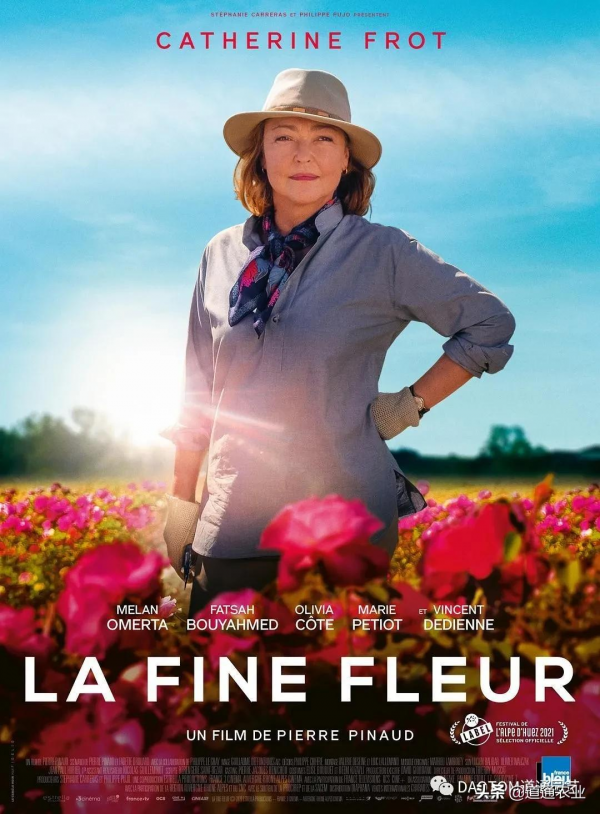 花友的假期影單推薦:這幾部園藝主題電影希望能治癒你的心 花友的假期影單推薦:這幾部園藝主題電影希望能治癒你的心