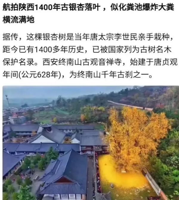 沒有百八十年文學造詣,真寫不出這種文字 沒有百八十年文學造詣,真寫不出這種文字