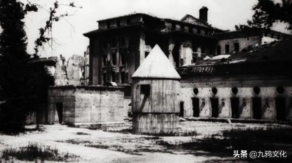 辨認出希特勒屍體的女牙醫，被關了10年