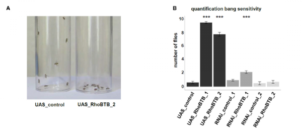 每週期刊推薦-你該關注這本自然指數收錄的頂級期刊 每週期刊推薦-你該關注這本自然指數收錄的頂級期刊