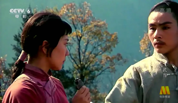 甄子丹&OpenCurlyDoubleQuote;師父&rdquo;主演，武打不輸《少林寺》，演員都有真功夫