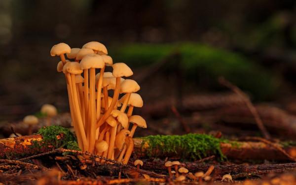 初中數學：教師總結了三年定理公式，19張圖全搞定