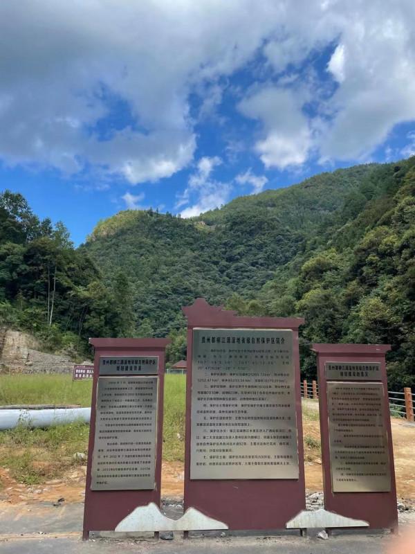 我走進了貴州大山深處的布依族村落,這裡藏著治癒系的秘境寶藏 我走進了貴州大山深處的布依族村落,這裡藏著治癒系的秘境寶藏