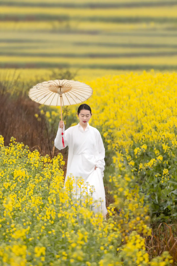曾破吉尼斯世界紀錄！80萬畝花海齊綻放！這裡藏著國內最早的春天