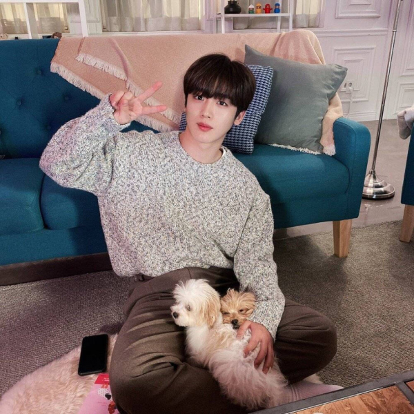 Lisa確診新冠！那麼會抄作業搶東西的他們，怎麼這時候不行了？