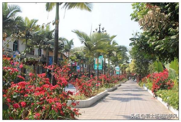 冬天避寒不一定去海南，國內這5座城市也是過冬的好地方