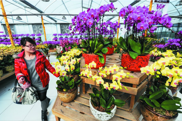 年味扮家遊戲“玩通關”:春節將至用小物件營造濃濃年味