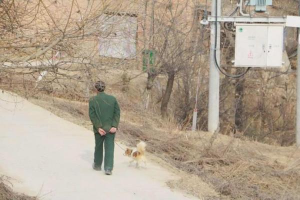 過年，媳婦跑了