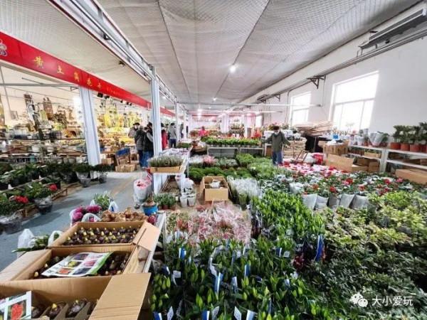 京城八大寶藏花市裡,藏著孩子最愛的植物園和水族館,冬日逛起來 京城八大寶藏花市裡,藏著孩子最愛的植物園和水族館,冬日逛起來