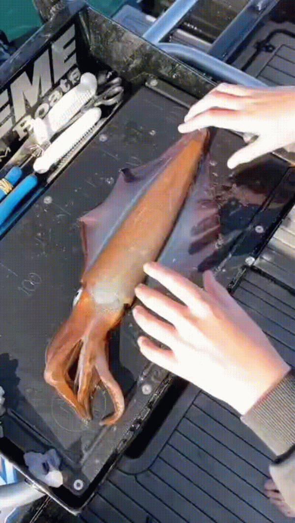 我們村小夥長得特像周杰倫