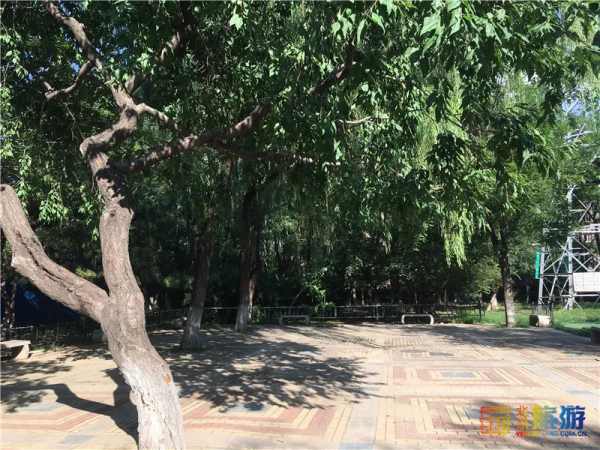 免費!這幾個公園風景如畫,還有竹林、大草坪~ 免費!這幾個公園風景如畫,還有竹林、大草坪~