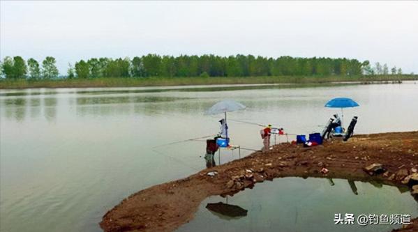 秋釣遛邊魚,這五種釣位最出魚 秋釣遛邊魚,這五種釣位最出魚