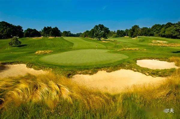 高爾夫運動規則、術語及電視轉播中資料顯示的解讀