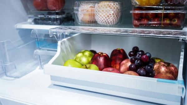 從E531到EE53，一個松下老粉的多門冰箱選購指南