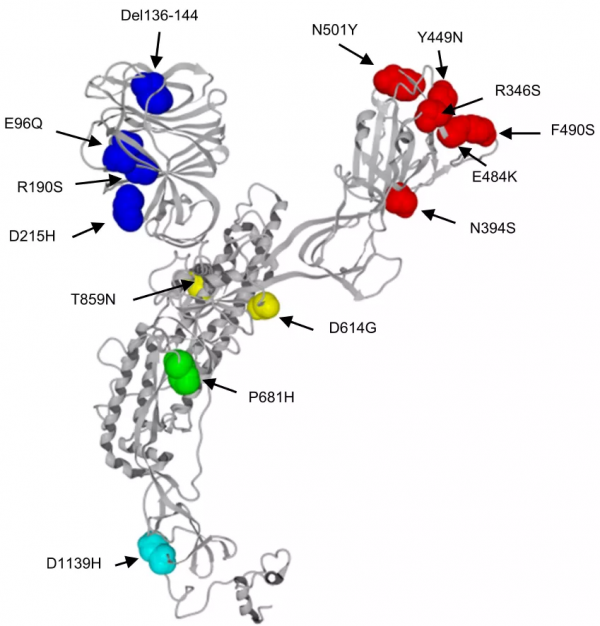 2020年出生的嬰兒社交和運動水平偏低，奧密克戎感染者更年輕、臨床表現更輕丨新冠研究一週進展