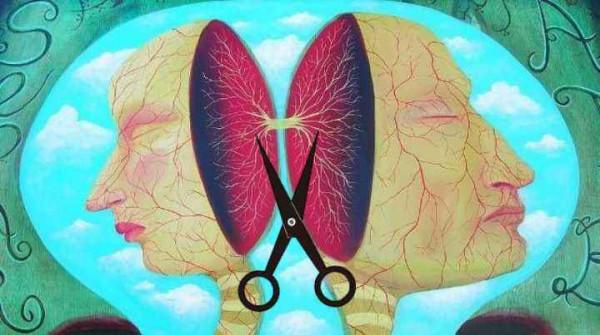 一次大腦手術，讓他有了裂腦人的稱呼，他的身體也產生了兩個靈魂