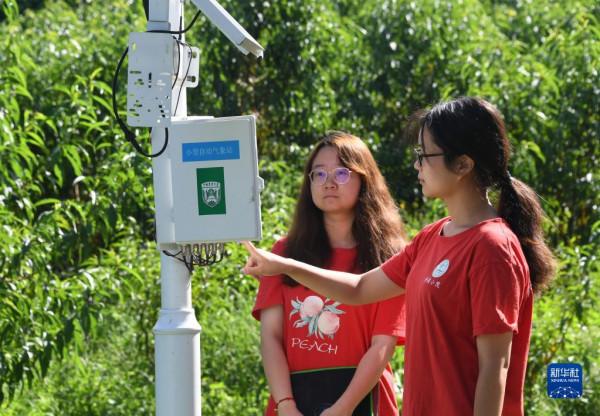 “駐村大學生”忙碌在“未來果園”