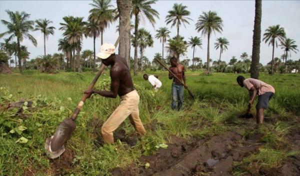 宇宙強國甘比亞：人均月薪292塊，卻妄想7天之內讓北美洲寸草不生