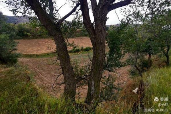 山西,讓我一次愛個夠之十五:山西結環穿+柏楊嶺堡/五眼井堡) 山西,讓我一次愛個夠之十五:山西結環穿+柏楊嶺堡/五眼井堡)