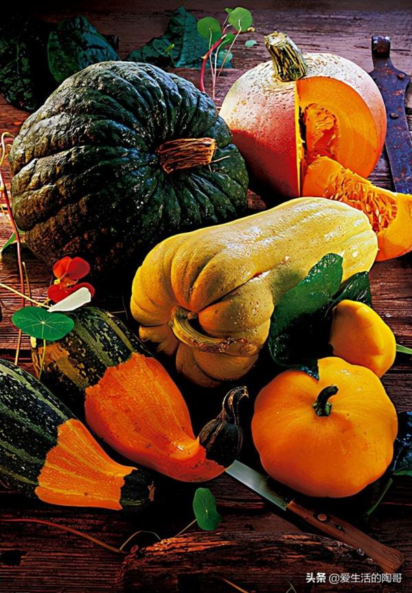 冬季養生，女人要多吃養元6寶，補氣血，美容顏顯年輕，健康過冬