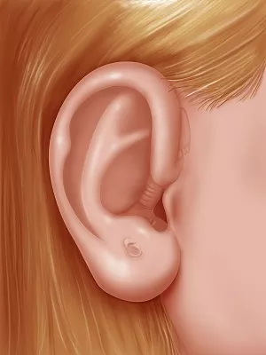 健康小站話養生|壓一壓這個神奇的部位,能降糖? 健康小站話養生|壓一壓這個神奇的部位,能降糖?