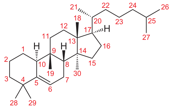 在沙漠裡再渴也不要隨地採食藥西瓜，救命隨時會變喪命
