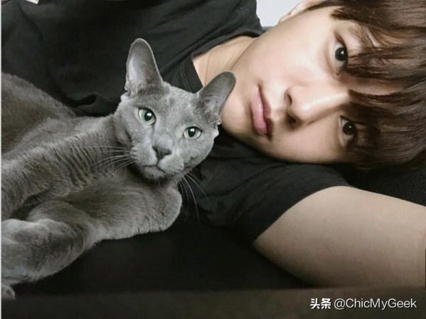 韓國男神們寵物大盤點!萌寵+美男不要太養眼 韓國男神們寵物大盤點!萌寵+美男不要太養眼