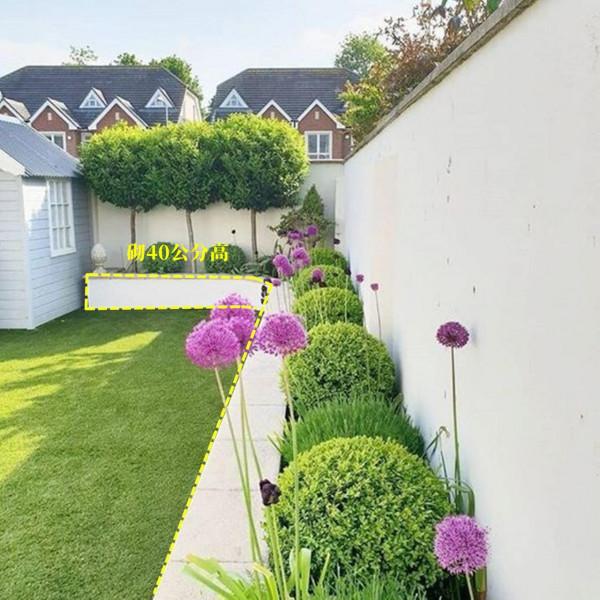 沿著院子圍牆，砌一圈花圃，40公分高低成本容易打理，養養花足矣