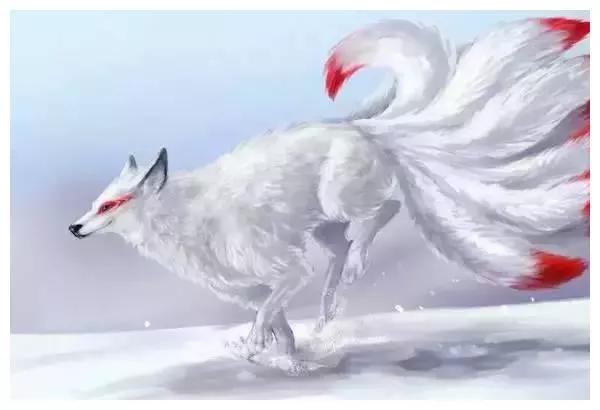 《民間故事》狐狸報恩 1 《民間故事》狐狸報恩 1