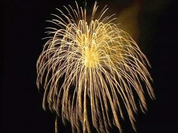 分享：60朵春節煙花，火樹銀花，璀璨奪目，絢麗多彩，眼花繚亂