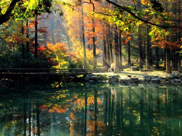 寒冬將至，在心裡重溫深秋的溫暖與美好