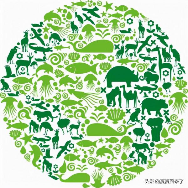 成神之路Vol1：神性，人性和動物性