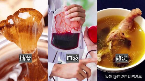 液體貓咪之謎：為什麼說貓都是液體？這竟然是被證明過的科學結論