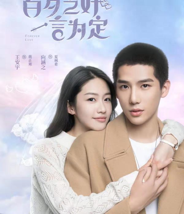 這些甜甜的劇我不允許你沒看過 這些甜甜的劇我不允許你沒看過